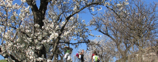 kalura sicilia trekking