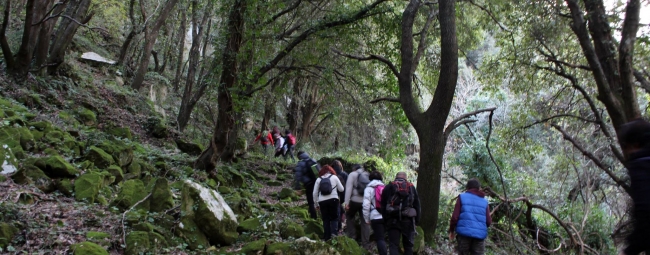 KALURA TREKKING IBLEI