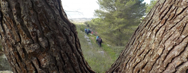 KALURA TREKKING MONTI IBLEI