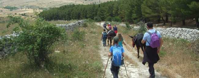 KALURA TREKKING SOMEGGIATO