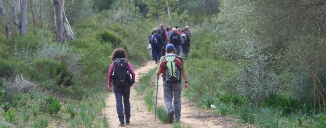 bosco di santo pietro kalura trekking sicilia