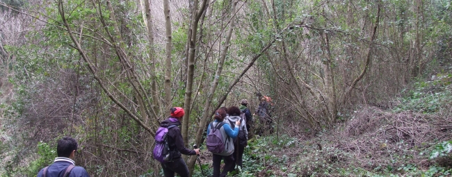 KALURA CAVA BAULI' TREKKING