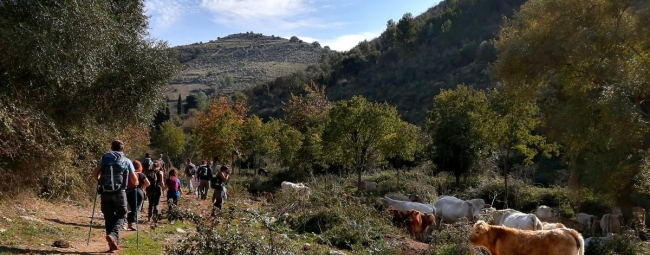 KALURA TREKKING MONTI IBLEI