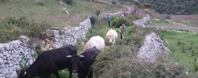 KALURA TREKKING IBLEI