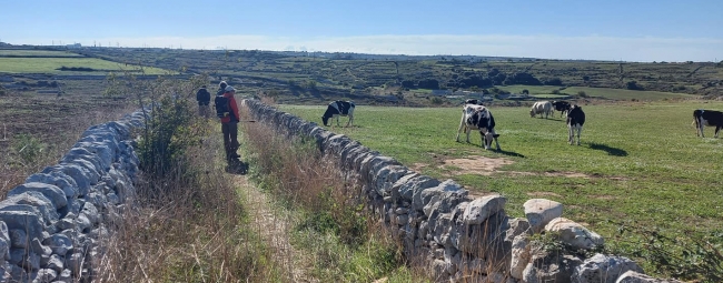 KALURA IBLEI TREKKING