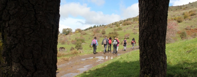 KALURA TREKKING NEBRODI