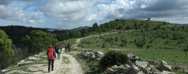 KALURA TREKKING MONTE CASASIA