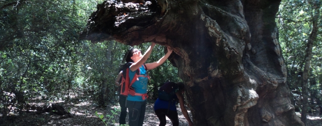 TREKKING SUGHERETA NISCEMI KALURA