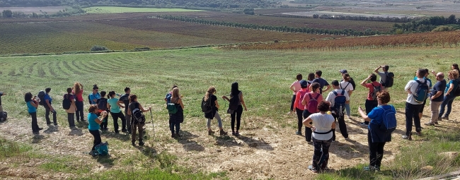 KALURA WINE TREKKING IBLEI