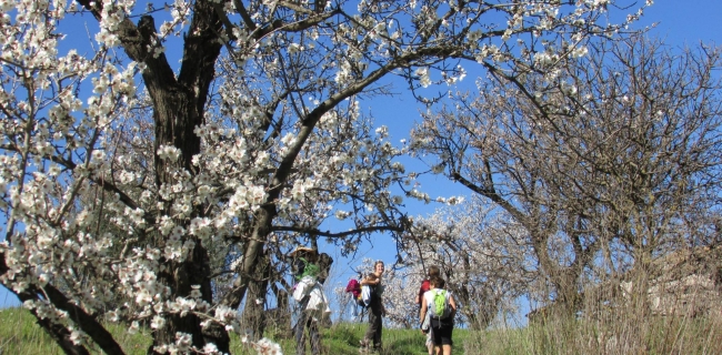 kalura sicilia trekking