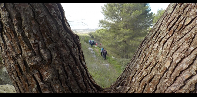KALURA TREKKING MONTI IBLEI