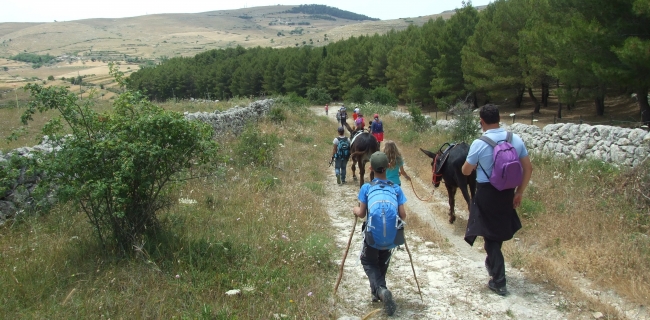 KALURA TREKKING SOMEGGIATO