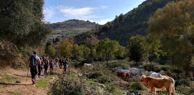 KALURA TREKKING MONTI IBLEI