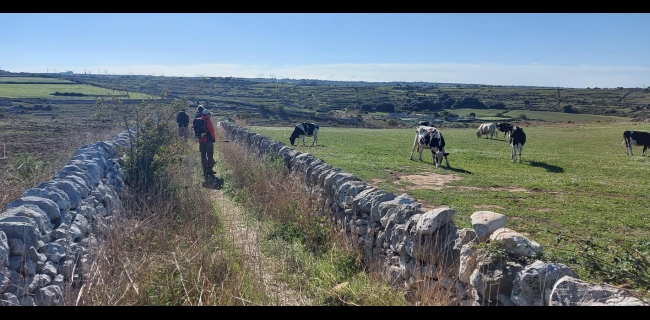 KALURA IBLEI TREKKING