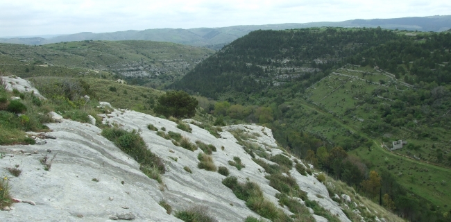KALURA CAVA VOLPE IBLEI