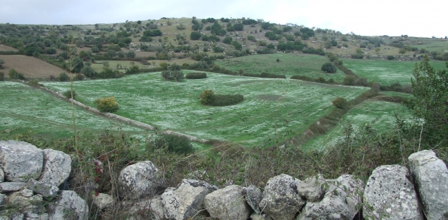 KALURA IBLEI TREKKING