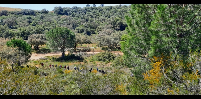 KALURA R.N.O. SUGHERETA DI NISCEMI SICILIA