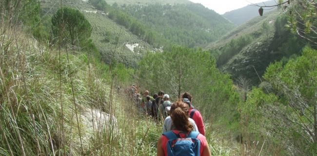 KALURA TREKKING IBLEI