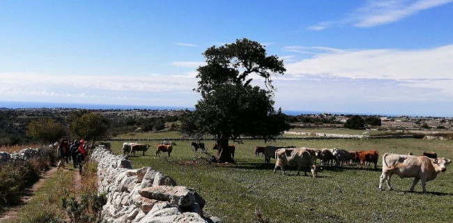 KALURA TREKKING MONTI IBLEI