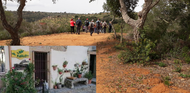 KALURA BOSCO DI SANTO PIETRO IBLEI 